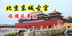 日女人骚屄视频中国北京-东城古宫旅游风景区